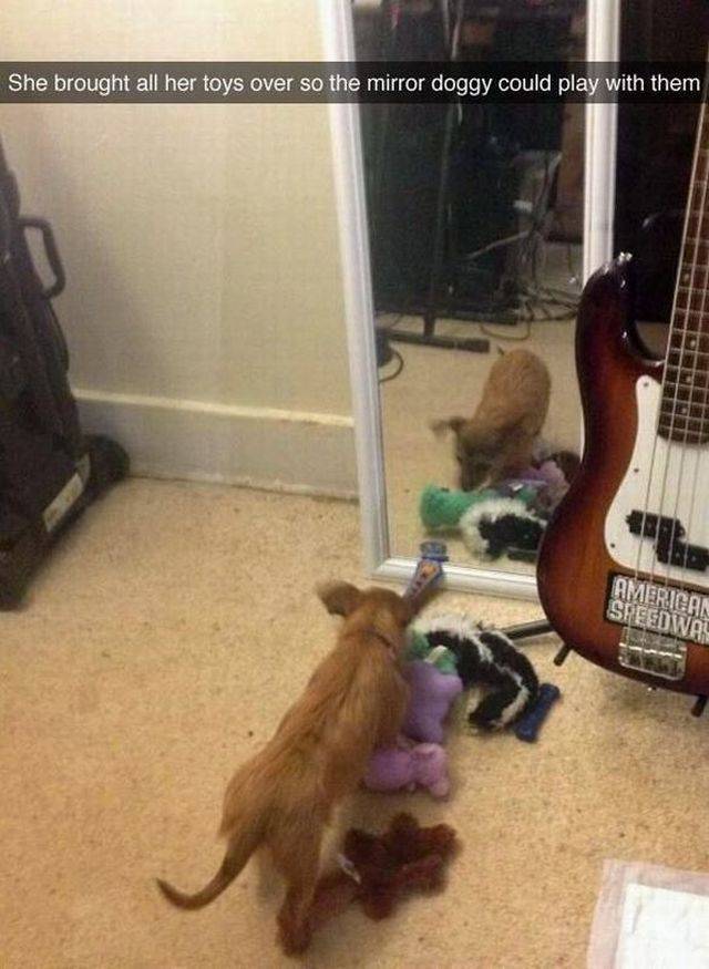 Daily Picdump