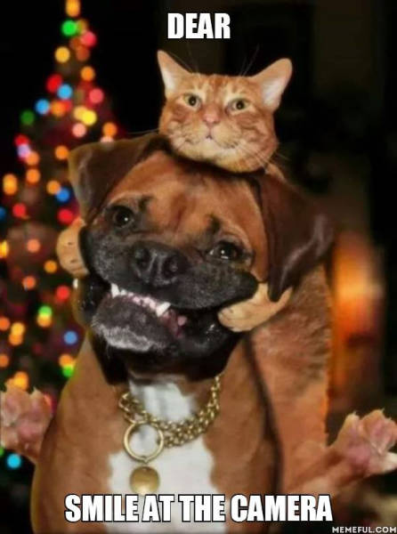 Funny Picdump