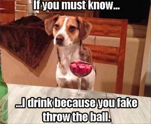 Funny Picdump