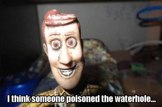 Content Image