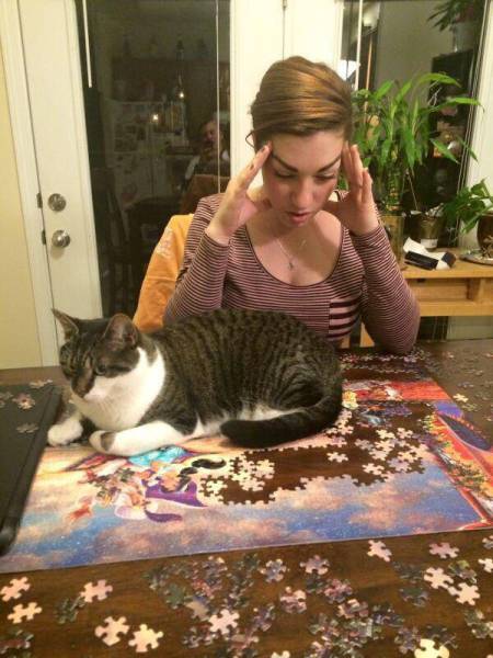 Morning Picdump