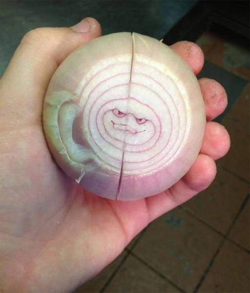 Morning Picdump