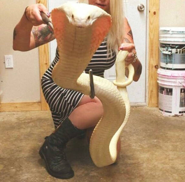 Content Image