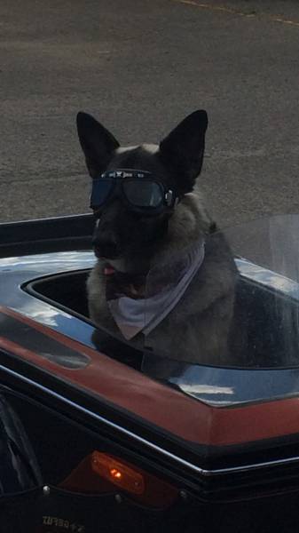 Morning Picdump