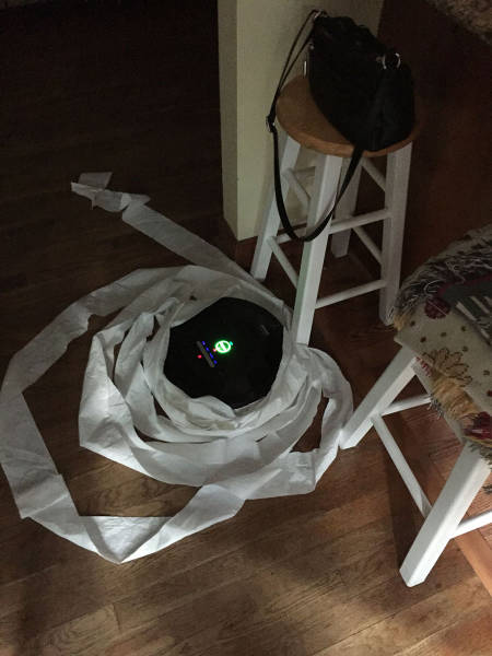 Content Image
