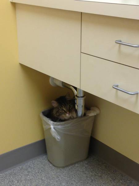 Morning Picdump