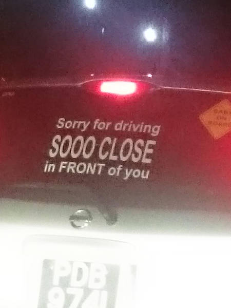 Morning Picdump
