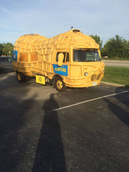 Content Image