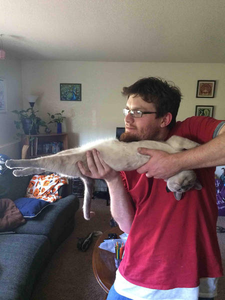 Content Image