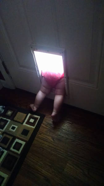 Content Image