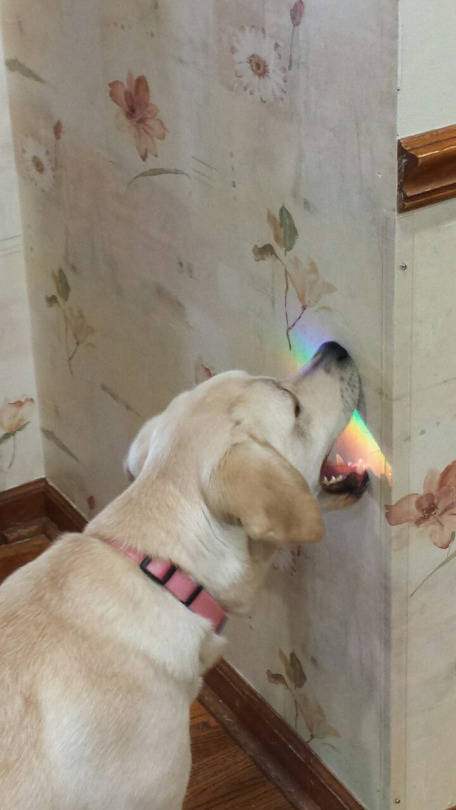 Morning Picdump