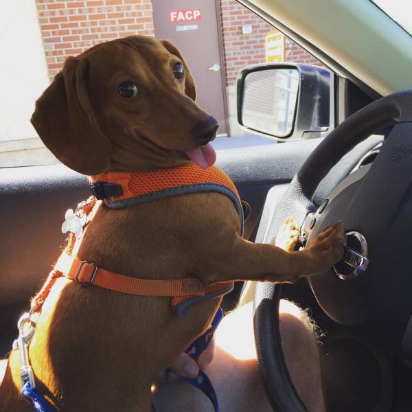 Morning Picdump