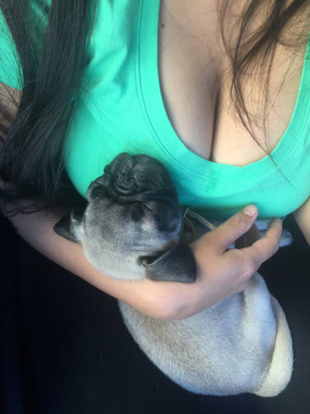 Morning Picdump