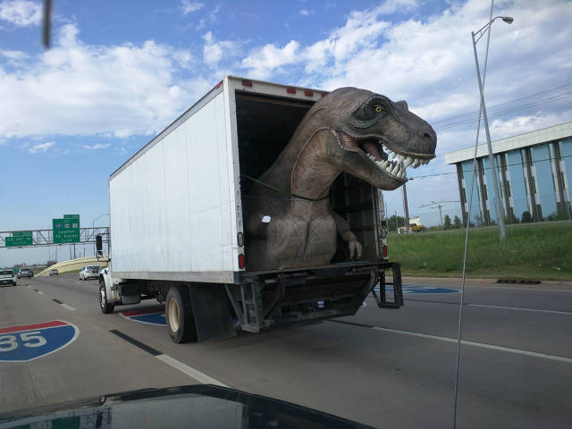Morning Picdump