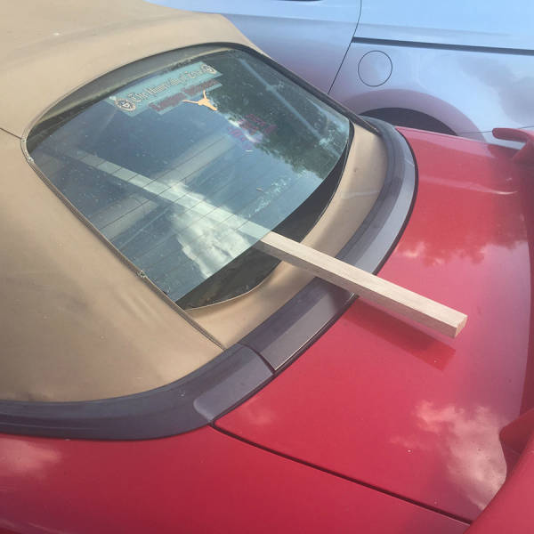 Content Image