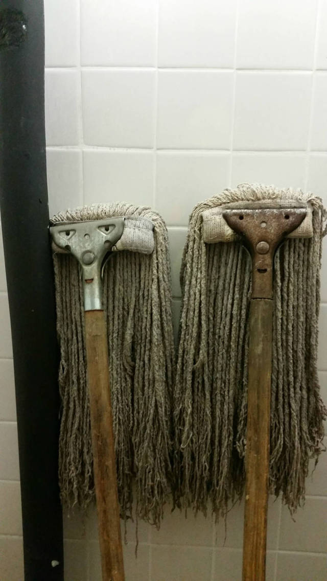 Morning Picdump