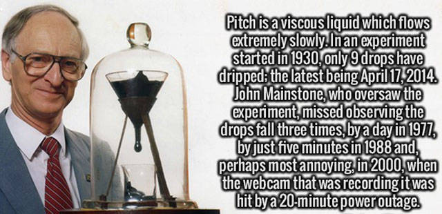 Interesting Facts about Anything and Everything