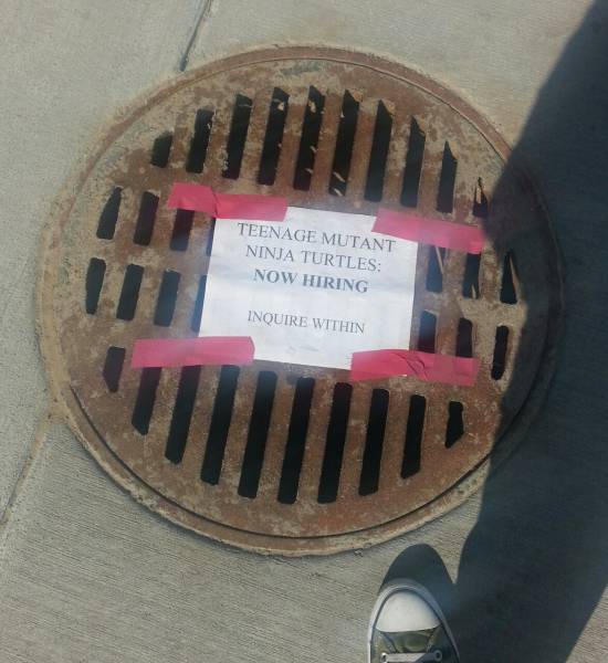 Morning Picdump