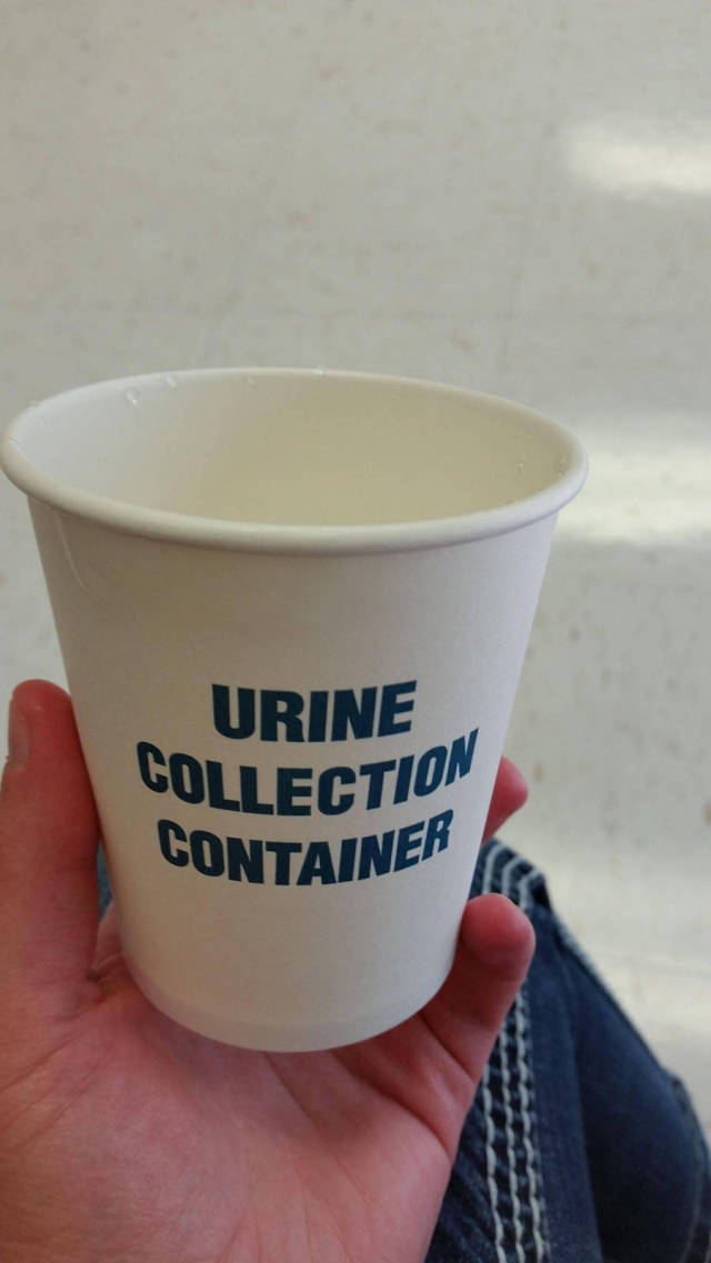 Content Image