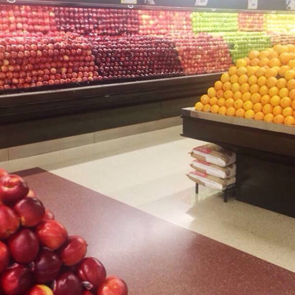 Morning Picdump