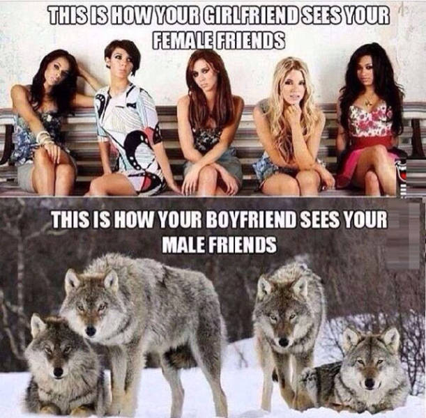 Men and Women Are from Two Different Worlds