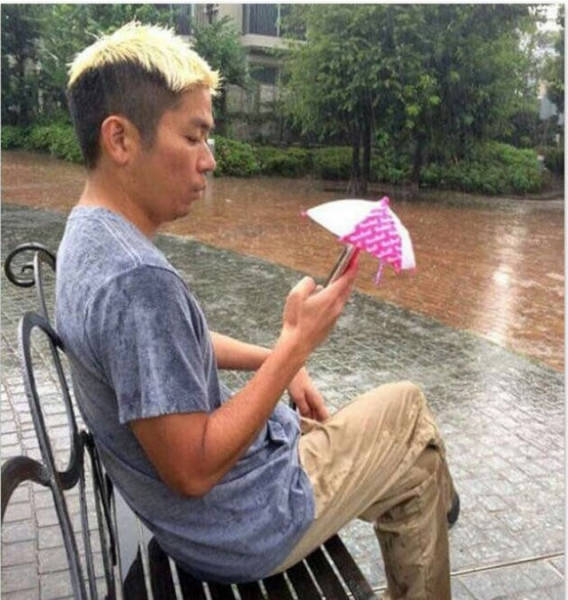 Morning Picdump