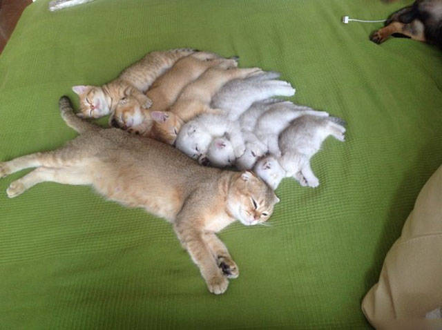 Morning Picdump
