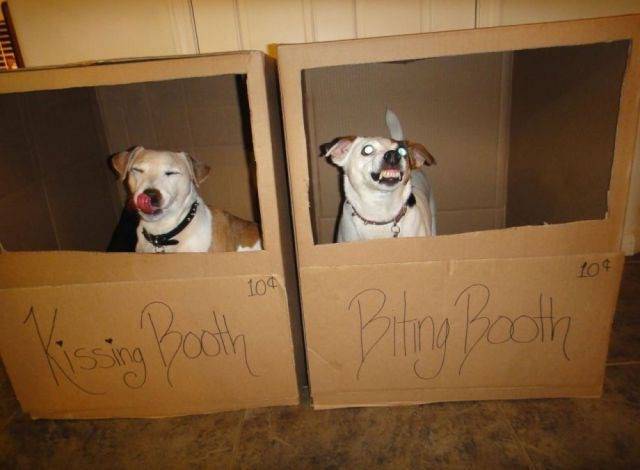 Morning Picdump
