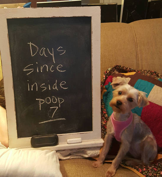 Morning Picdump