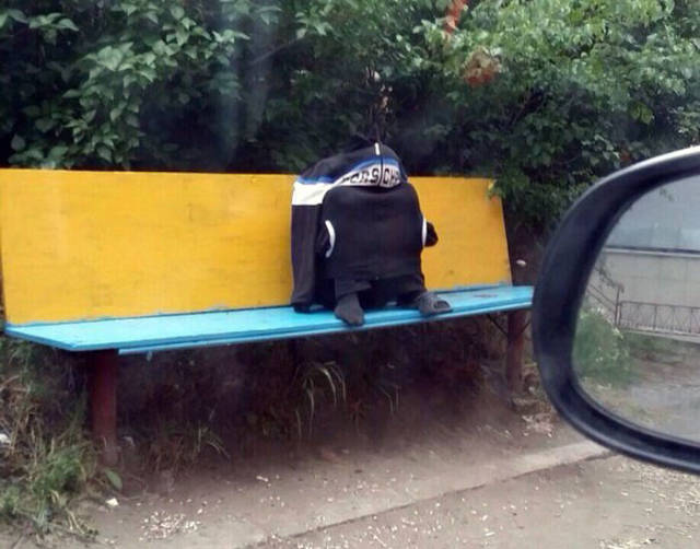 Morning Picdump