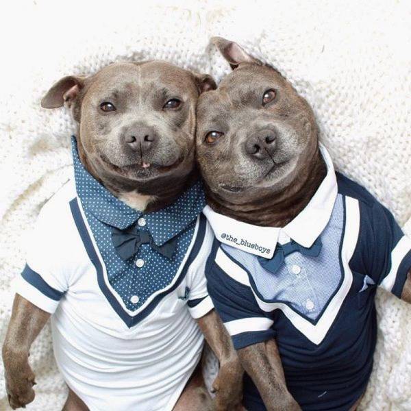 Daily Picdump