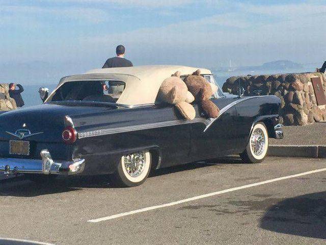 Daily Picdump