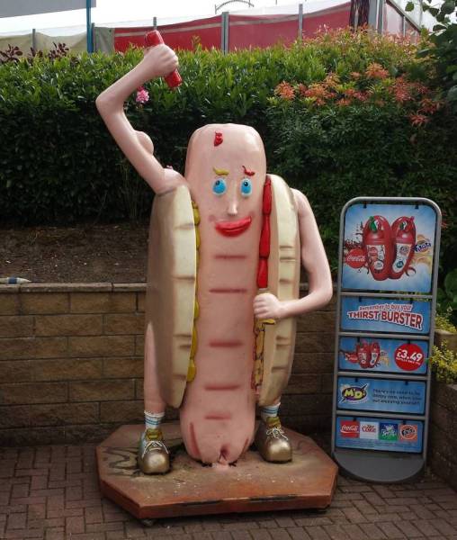 Daily Picdump