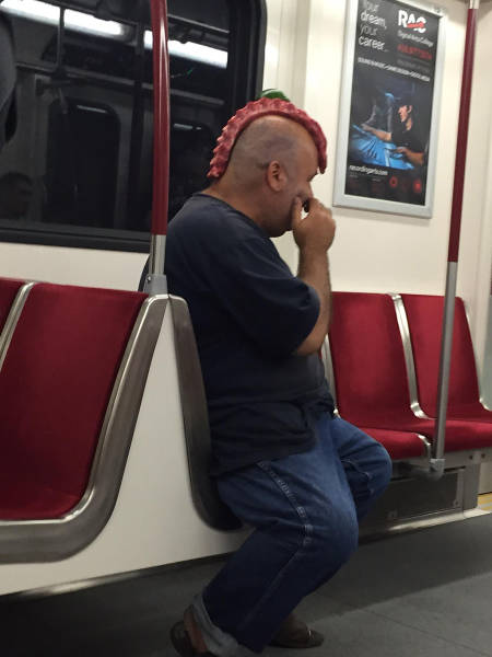 Morning Picdump