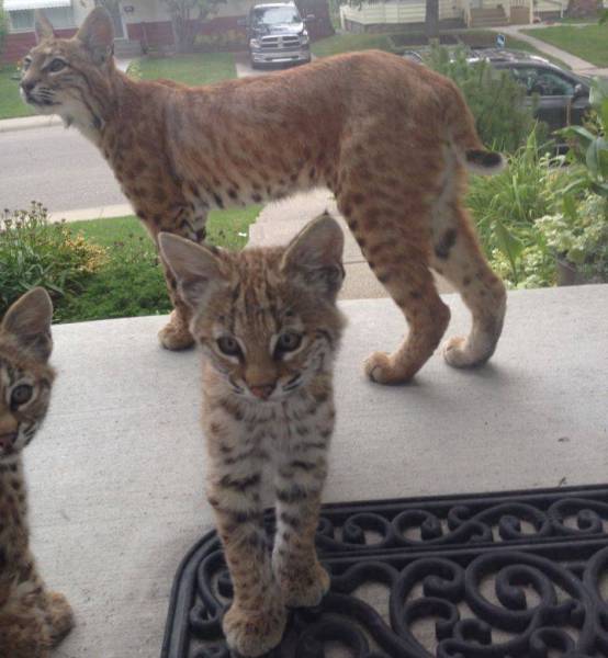 Morning Picdump
