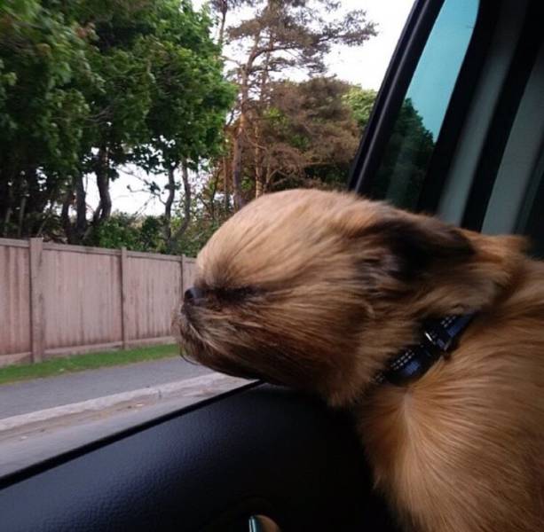 Morning Picdump