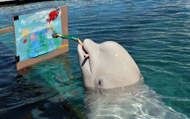 Morning Picdump