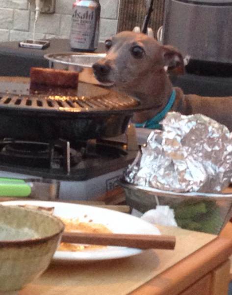 Morning Picdump