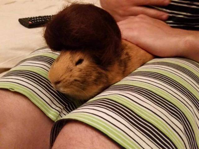 Morning Picdump