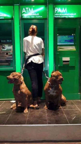 Morning Picdump