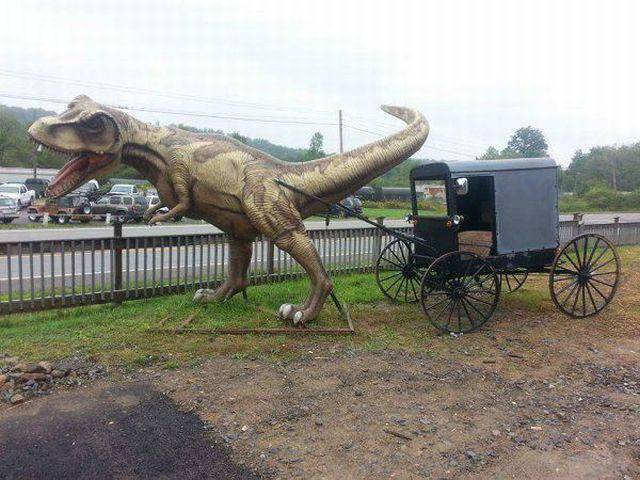Daily Picdump