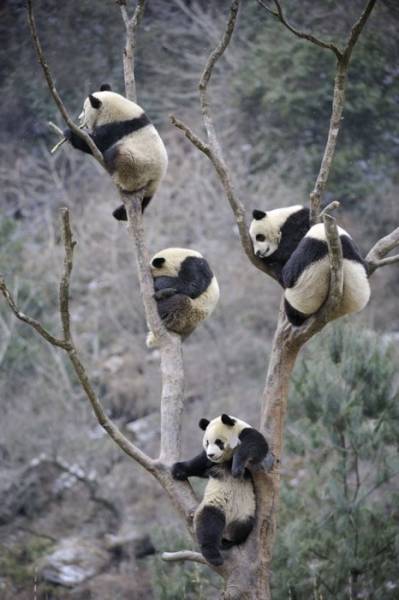 Morning Picdump