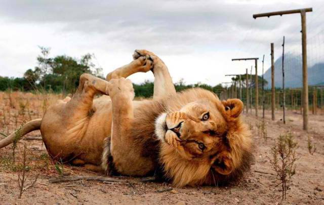Morning Picdump