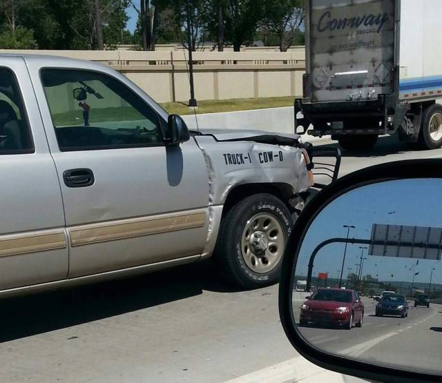 Morning Picdump