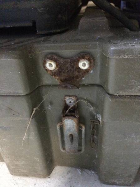 Morning Picdump