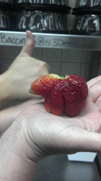 Morning Picdump