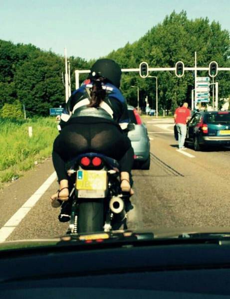 Daily Picdump