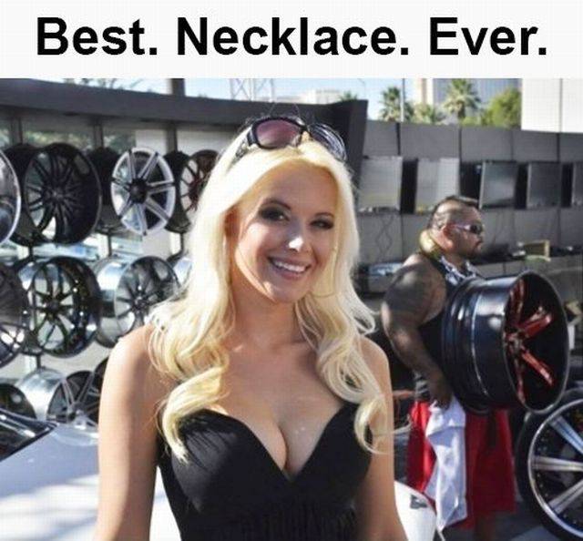 Daily Picdump
