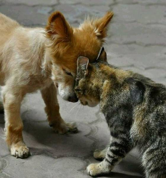 Daily Picdump
