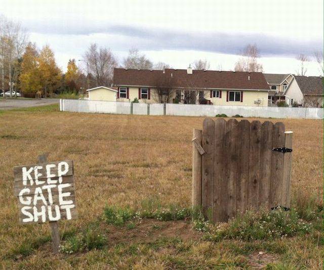 Daily Picdump